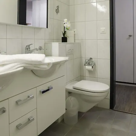 Allod Park Haus C 307 By Interhome * Davos