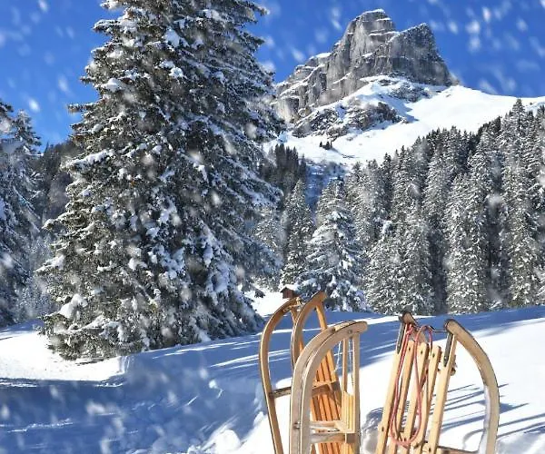 Appartement Allod Park Haus C 307 By Interhome Davos