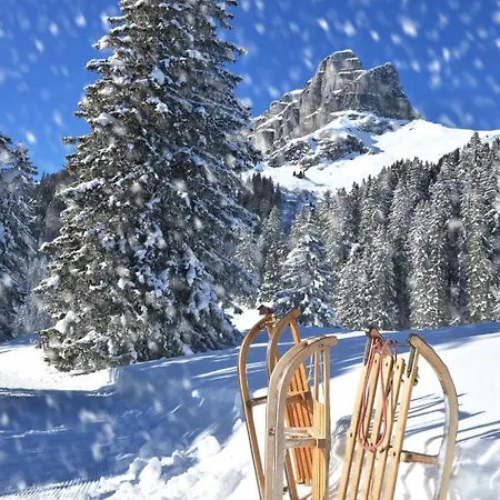 Apartment Allod Park Haus C 307 By Interhome Davos